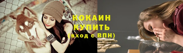 шишки Киреевск