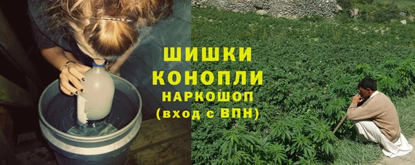 шишки Киреевск