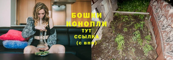 шишки Киреевск